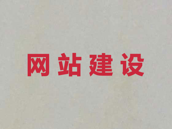 陇南网站设计公司